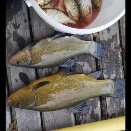 Letniskowy Zacisze 2 * Urowo